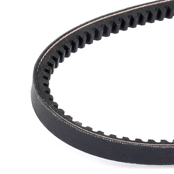 DAYCO 13x1050 Vee-belt Width: 13,0mm, Length: 1050,0mm