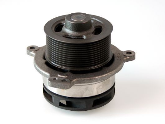 HEPU with V-ribbed belt pulley, with seal, Mechanical Water pumps P1193 buy