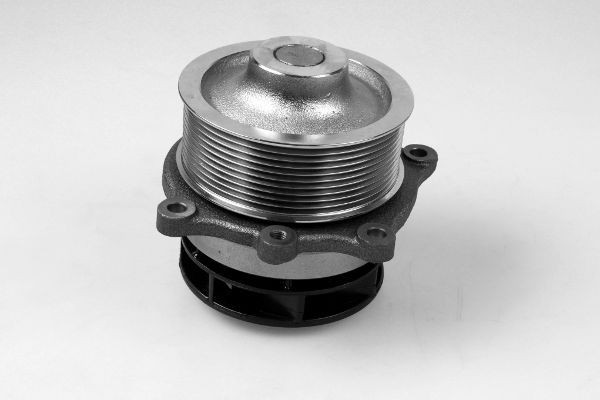 HEPU with V-ribbed belt pulley, with seal, Mechanical Water pumps P1204 buy