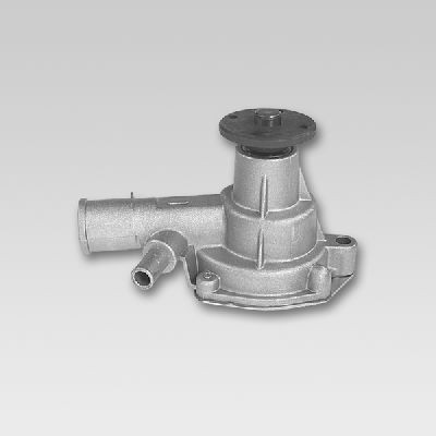 HEPU P771 Water pump 1610019145