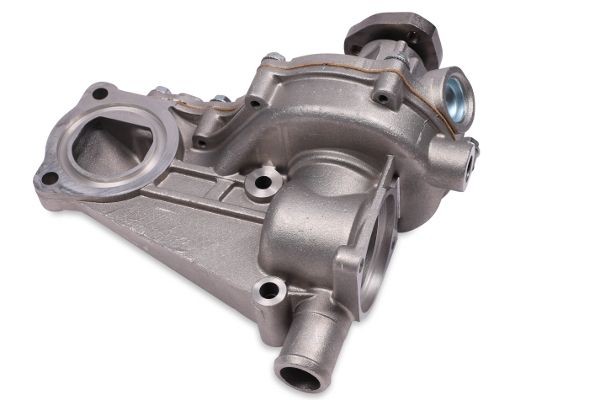 GK Water pump for engine 980156