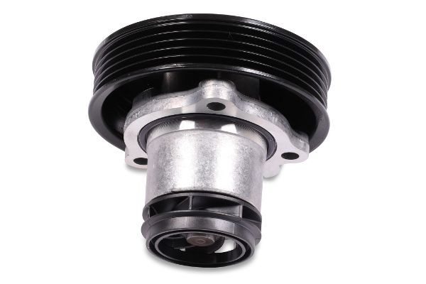 GK Water pump for engine 980249