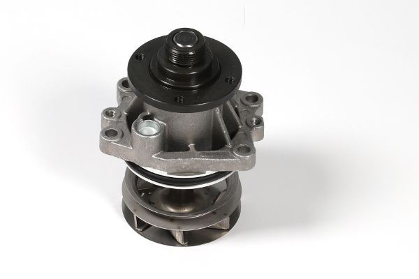 GK 980513 Water Pump + V-Ribbed Belt Kit 1433828