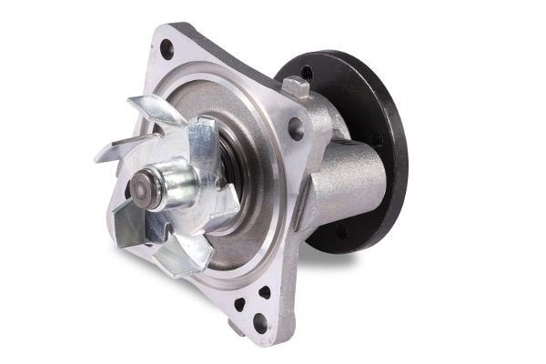 GK Water pump for engine 980901