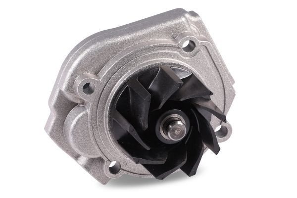 GK Water pump for engine 981201