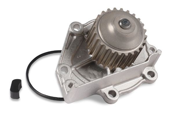 984045 GK Water pumps LAND ROVER Number of Teeth: 24, with accessories, with seal, Mechanical