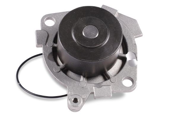 GK 985245 Water pump with seal, Mechanical, Water Pump Pulley Ø: 61 mm