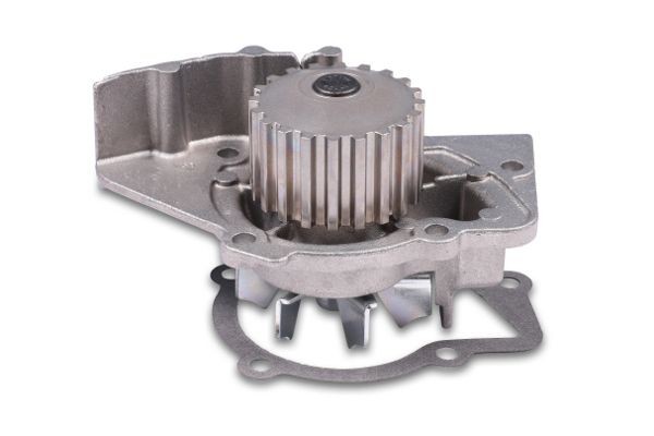 GK Water pump for engine 986841