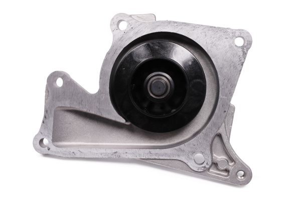 GK Water pump for engine 986965