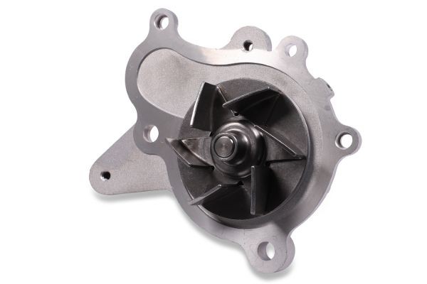 GK Water pump for engine 987797