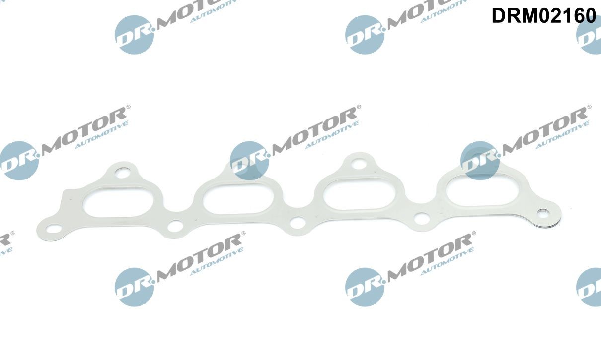 DR.MOTOR AUTOMOTIVE DRM02160 Exhaust manifold gasket 5849914