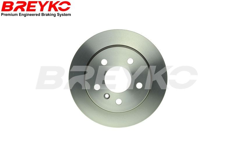 Mercedes SLK Disc brakes 22969874 DAVID VASCO T4453 online buy