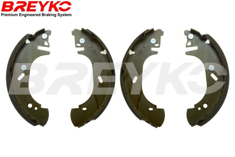 Renault KANGOO Brake shoe kits 22970152 DAVID VASCO W8630 online buy