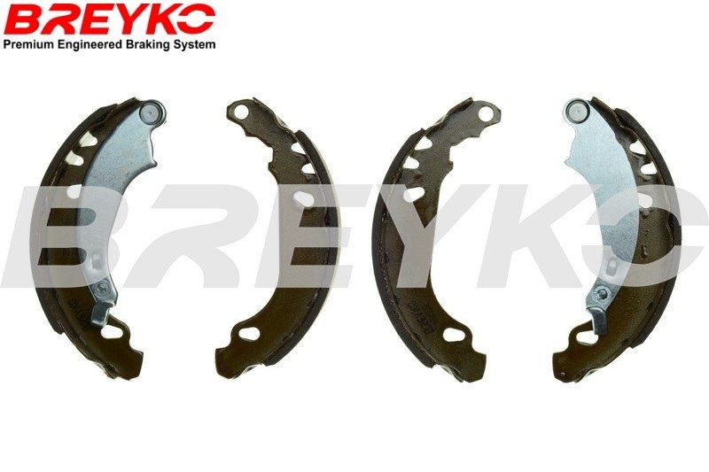 Renault KANGOO Drum brake shoe support pads 22970162 DAVID VASCO W8669 online buy