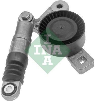 INA 534 0038 10 Tensioner Lever, v-ribbed belt DODGE experience and price
