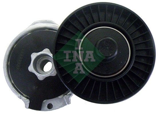 INA 534016310 Tensioner pulley 77 00 870 495