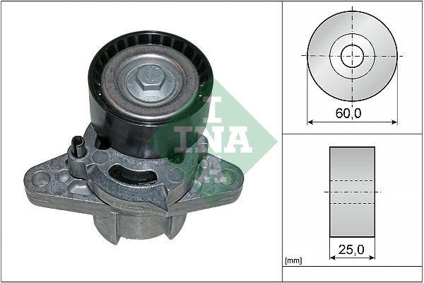 INA 534 0271 10 Tensioner Lever, v-ribbed belt DACIA experience and price