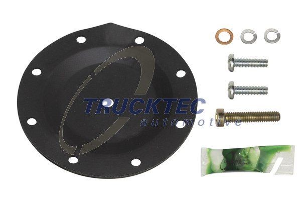 Great value for money - TRUCKTEC AUTOMOTIVE Repair Kit, vacuum pump (brake system) 02.43.033