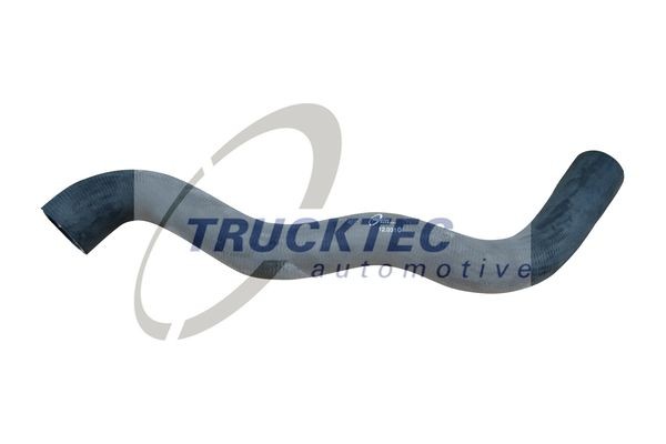 02.43.262 TRUCKTEC AUTOMOTIVE Reparatursatz, Achsschenkelbolzen MERCEDES-BENZ LK/LN2