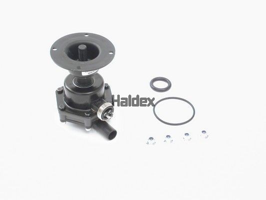 92003S HALDEX Entwässerungsventil für STEYR online bestellen