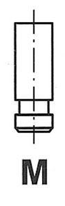 R4917/SCR FRECCIA Intake valves MERCEDES-BENZ 43mm, Chromed valve stem