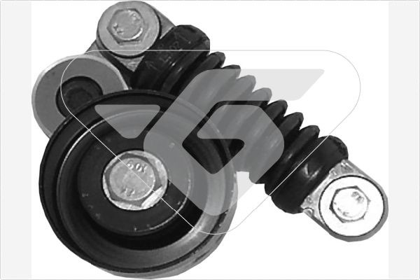 BMW 3 Series Tensioner pulley, v-ribbed belt 2494706 HUTCHINSON T2017 online buy