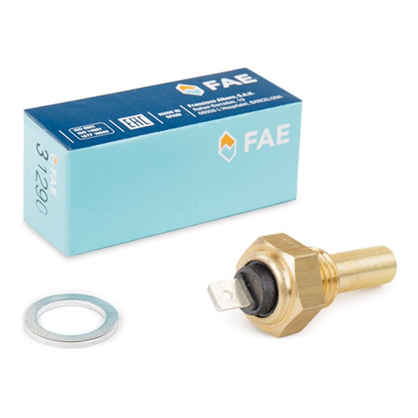FAE Water temperature sensor 31290