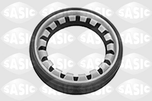 SASIC 1213273 Shaft Seal, differential 3121.27