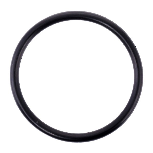 Great value for money - TOPRAN Gasket, thermostat 101 117