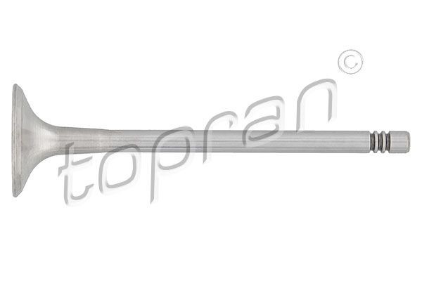 Audi A1 Engine exhaust valve 2723936 TOPRAN 107 132 online buy