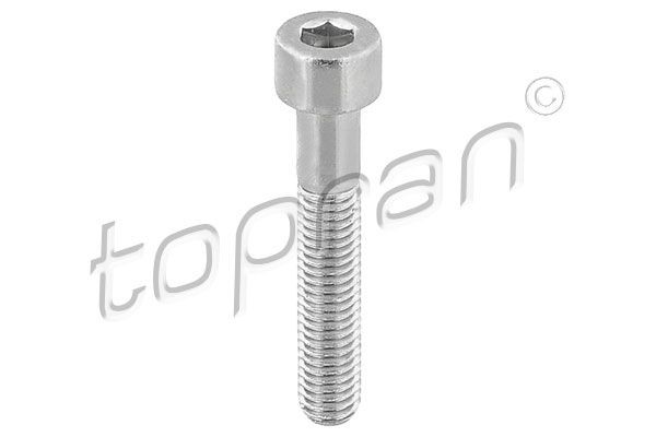 110 708 001 TOPRAN M 8, at brake caliper, Front axle both sides Brake Caliper Bolt 110 708 buy