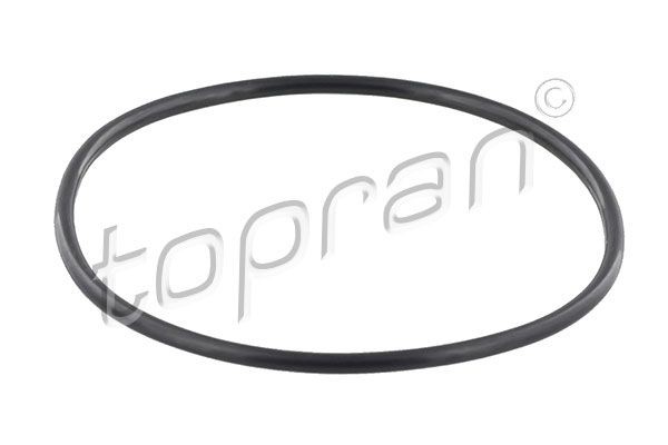 TOPRAN Courroie Poly-V 205 752