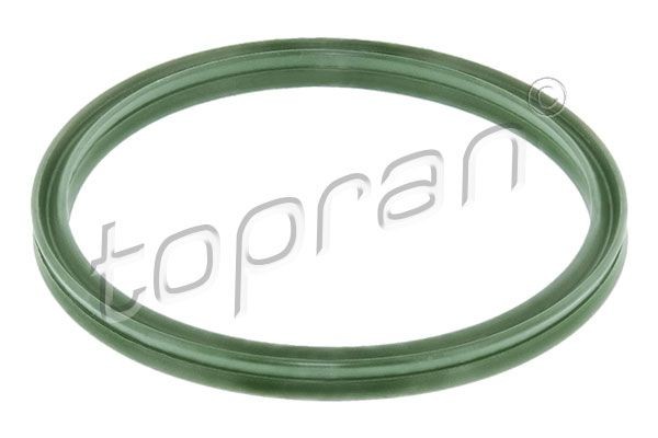 TOPRAN 301166 Brake disc EBT247