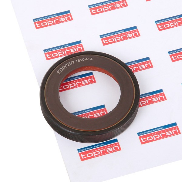 Payen NA5205 Shaft Seal differential 