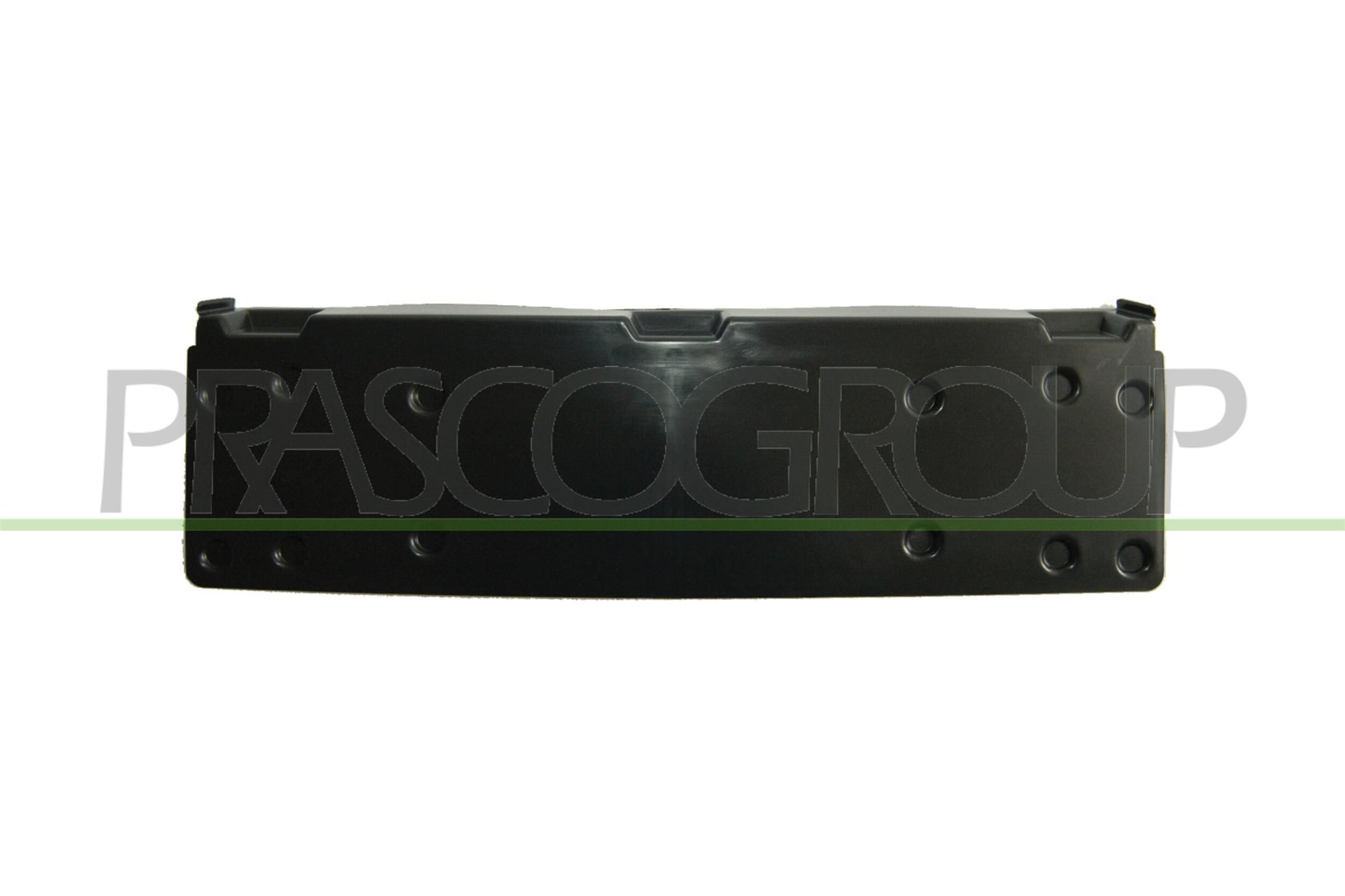 Licence plate holder / bracket PRASCO Front, black, frameless - BM0241539