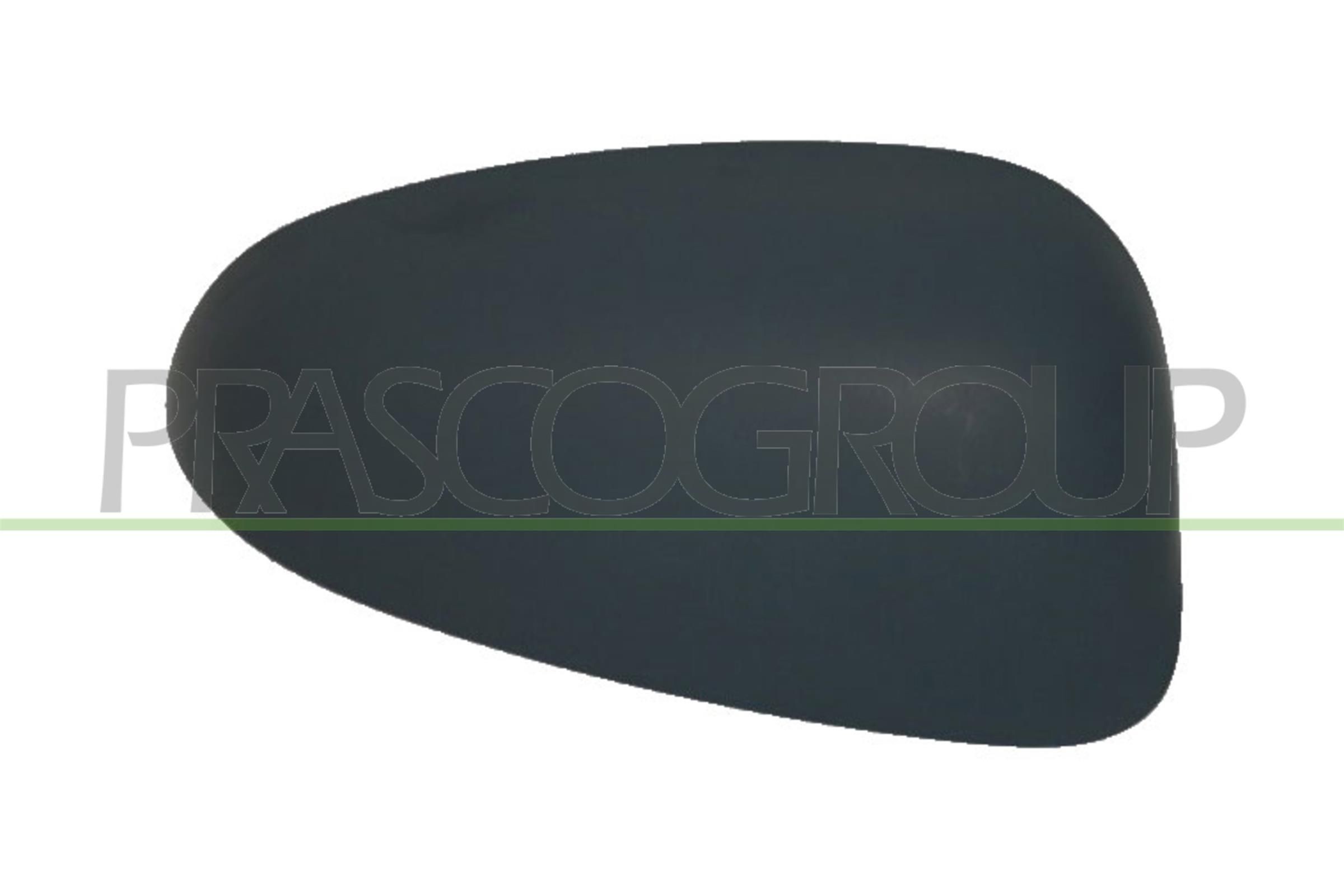 PRASCO FT1333053 Body panels FIAT Punto II Hatchback (188) 1.2 60 (188.030, .050, .130, .150, .230, .250) 60 hp Petrol 2007