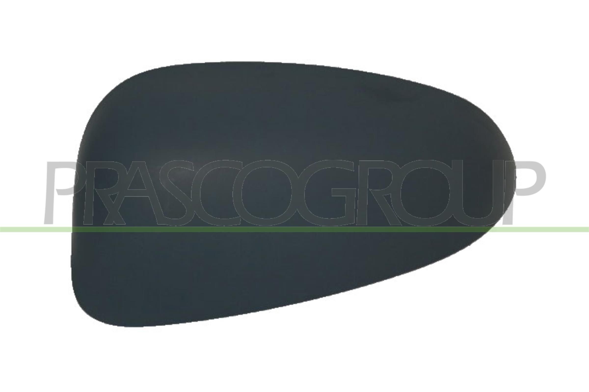 PRASCO FT1333054 Side panel FIAT Punto II Hatchback (188) 1.2 60 (188.030, .050, .130, .150, .230, .250) 60 hp Petrol 2006