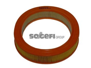 COOPERSFIAAM FILTERS FL6629 Air filter 4 434 951
