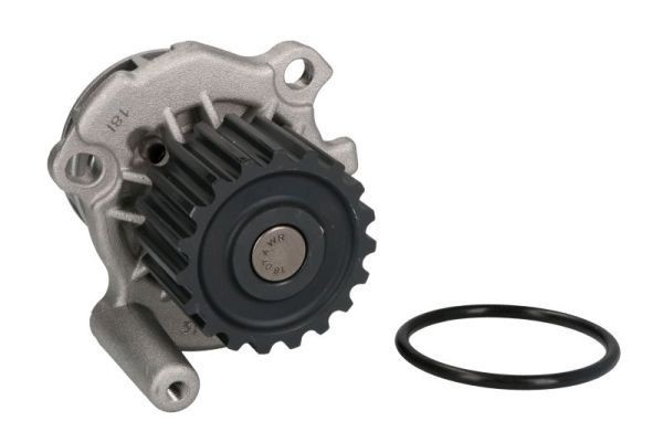 Great value for money - THERMOTEC Water pump D1A024TT