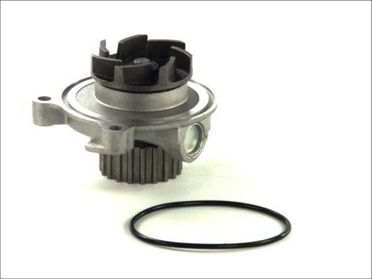 Great value for money - THERMOTEC Water pump D1A027TT