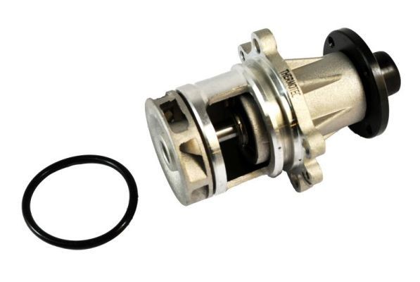 THERMOTEC D1B011TT Water pump with seal, Mechanical