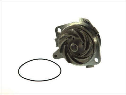 THERMOTEC D1D018TT Water pump with seal, Mechanical, Belt Pulley Ø: 65,5 mm