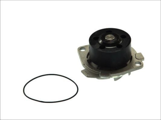 THERMOTEC Water pump for engine D1D018TT