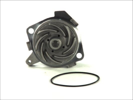 THERMOTEC Water pump for engine D1D019TT