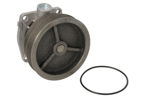 THERMOTEC Water pump for engine D1F070TT
