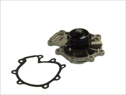 THERMOTEC D1G015TT Water pump FORD COUGAR 1998 price