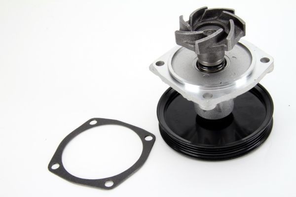 Original THERMOTEC Water pumps D1H015TT for FIAT TIPO