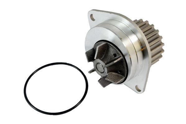 Great value for money - THERMOTEC Water pump D1P019TT
