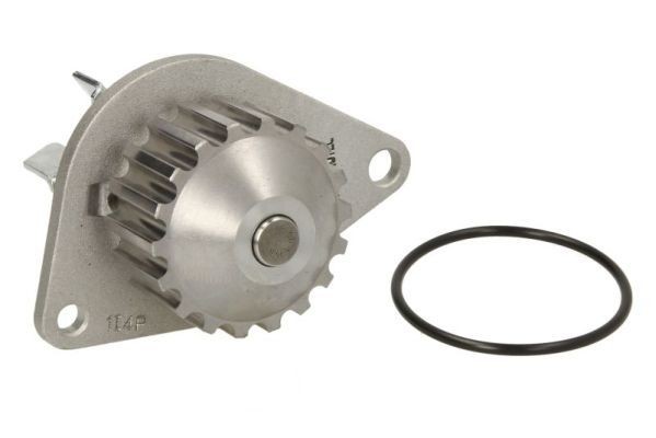 THERMOTEC Water pump for engine D1P038TT