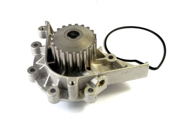 Fiat 1000-Series Engine water pump 3348591 THERMOTEC D1P040TT online buy